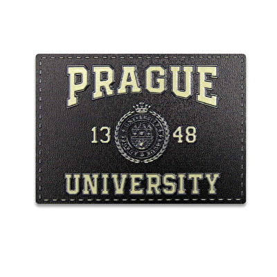 Magnet HDF Prague University 29.