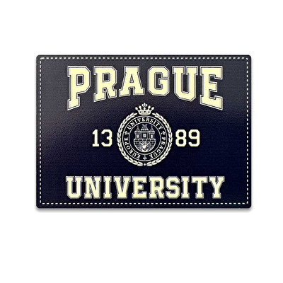 Magnet HDF Prague University 29.